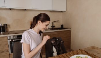 Can Dogs Eat Avocado A Comprehensive Guide For Pet Owners