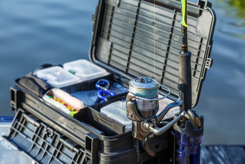 Essential Gear And Equipment For Flounder Fishing