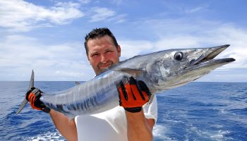 How To Catch Wahoo Fish Tips Techniques And Gear