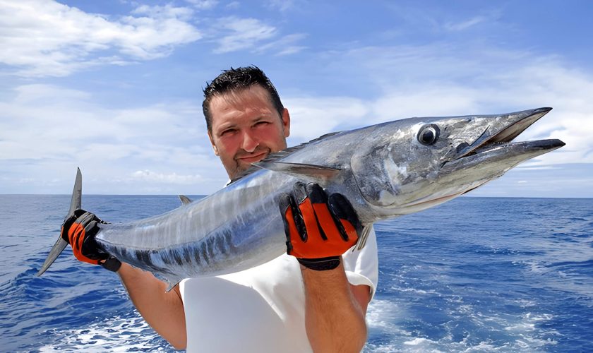 How To Catch Wahoo Fish Tips Techniques And Gear