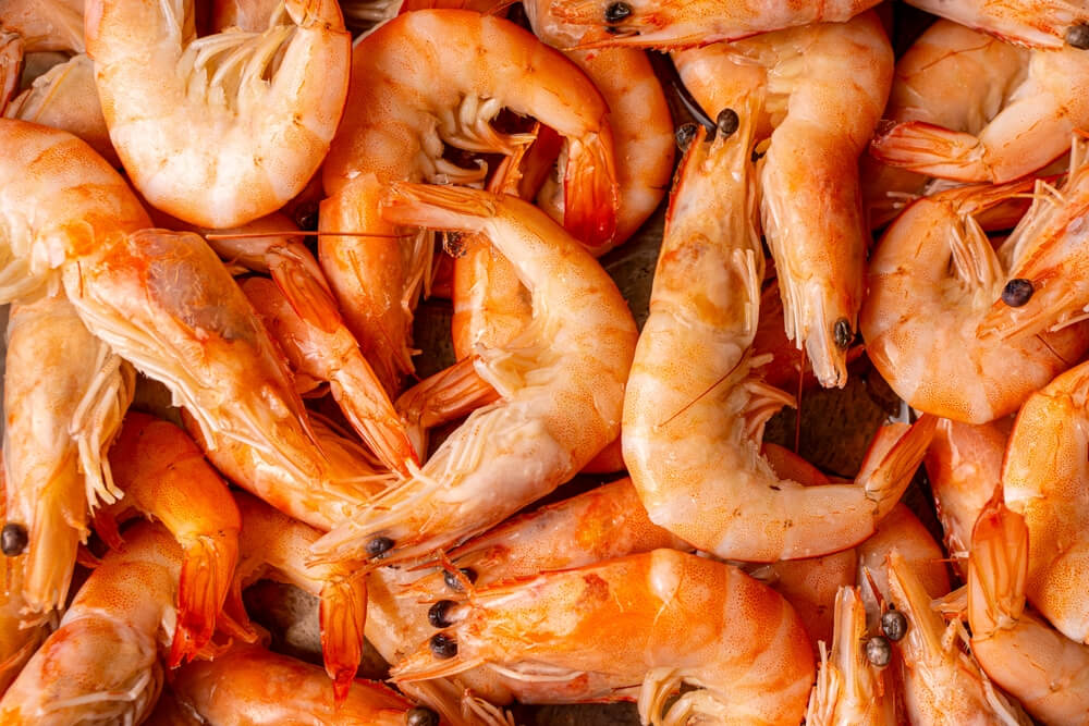 Nutritional Benefits Of Shrimp For Dogs